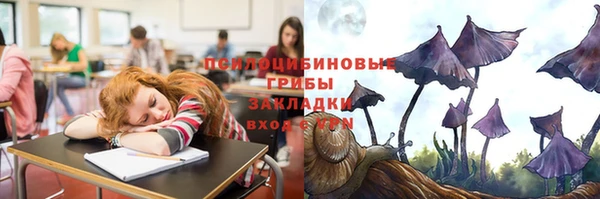 МДПВ Бугульма